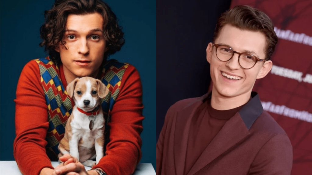 Tom holland biography age career education early life family movie awards and net worth | the9jafresh