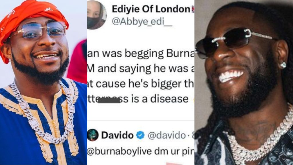 Nigerian lady digs out old tweet of davido begging burnaboy for a dm saying he is a fan | the9jafresh